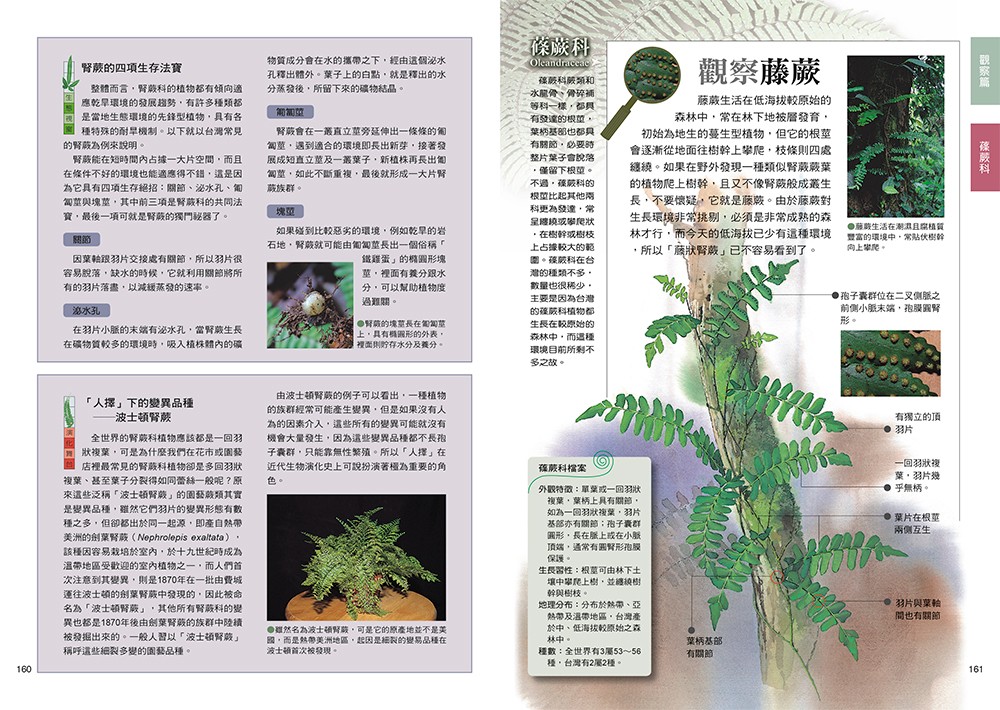 book1